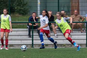 Bild 109 - C-Juniorinnen HSV - Walddoerfer : Ergebnis: 9:1